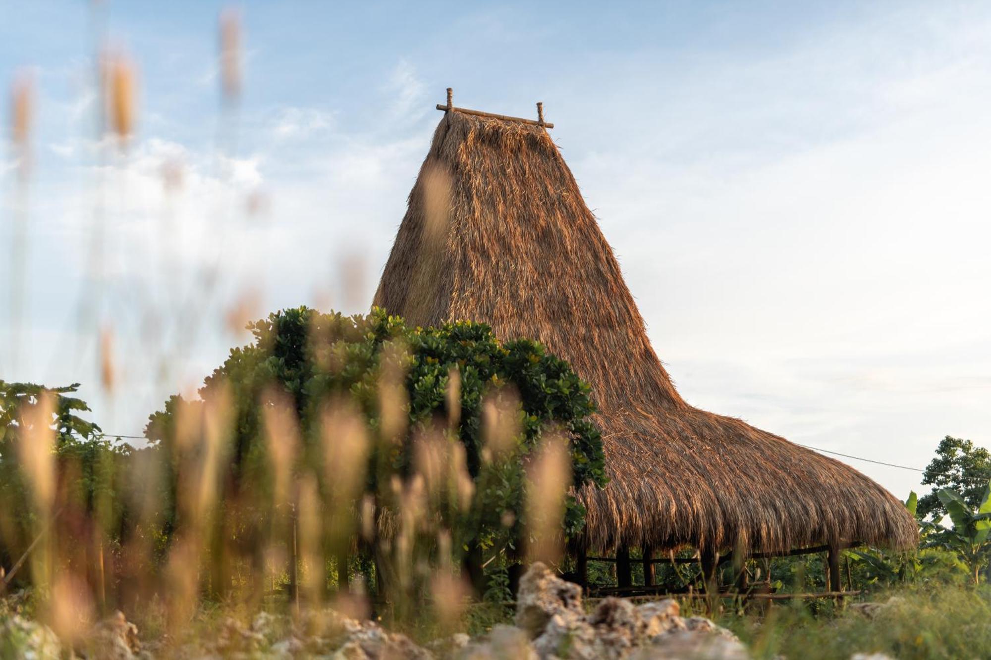 Cap Karoso Sumba - A Member Of Design Hotels Tambolaka Εξωτερικό φωτογραφία
